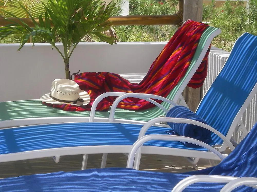 The Blue Pearl Suites 신데 델 카르멘 멕시코
